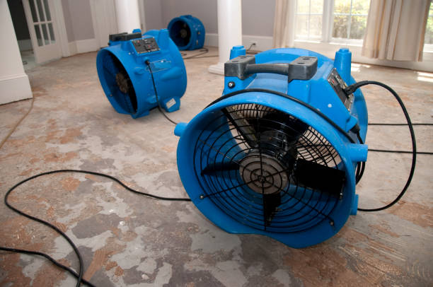 Trusted Water Damage Restoration in East Dubuque, IL | Fast, Reliable, and Ready to Assist You